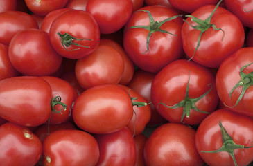Tomatoes.