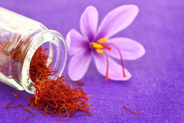 Close up of saffron flower and dried saffron spice