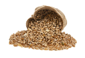 wheat in a sack