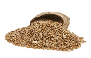 Fototapeten grains of wheat © Valerii Zan