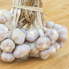 Garlic