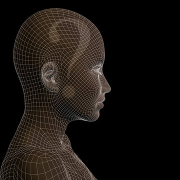 Conceptual witreframe or mesh woman face