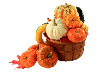 Pumpkins and squashes Fall arrangement