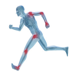 3D human man anatomy with articular pain