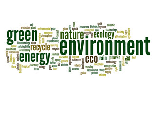 Conceptual ecology word cloud