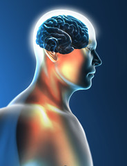 Obraz premium Cervello neuroni sinapsi testa profilo