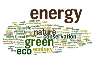 Conceptual ecology word cloud