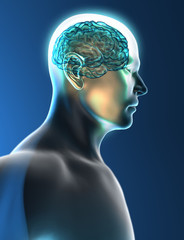 Obraz premium Cervello neuroni sinapsi testa profilo