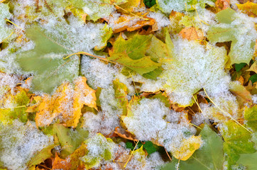 abstract background. The fall and winter met.