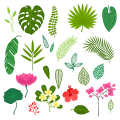 Set of stylized tropical plants, leaves and flowers.