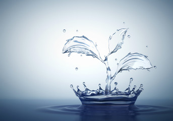 Water splash in form of plant