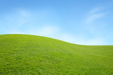 Naklejka premium green field with blue sky