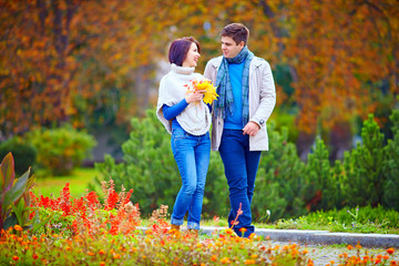 Fototapeta premium happy couple walking in autumn park