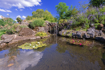 Fototapeta na wymiar Pond with waterfall waterlily flowers