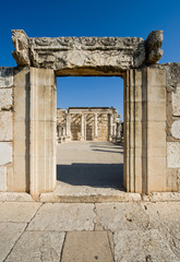 The synagogue of Capernaum