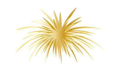 Obraz premium Feuerwerk Silvester