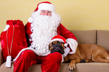 Santa Claus with dog