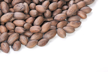 Pile of Unshelled Pecan Nuts with Copy Space