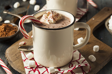 Homemade Peppermint Hot Chocolate