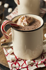 Homemade Peppermint Hot Chocolate
