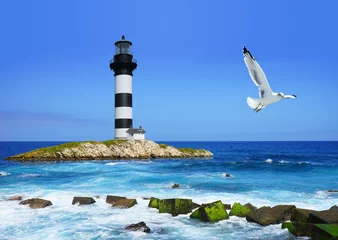 Poster lighthouse on rocks, sea  coast, flying seagull © Castigatio