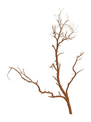 Dead Tree Vector Shape