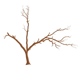 Dead Tree Design Element