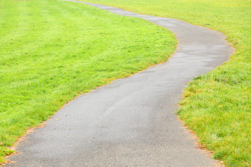 Fototapeta na wymiar Bicycle lane in meadows.
