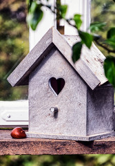wooden bird house