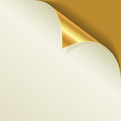 Golden page curl with shadow vector template.