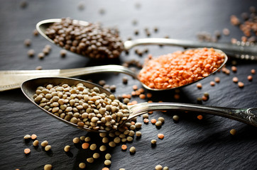 Various kinds of lentils