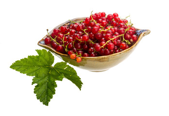 Red currant
