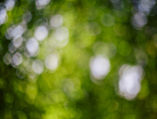 Obraz premium defocused light dot background