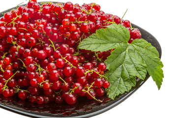 Red currant