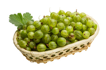 Gooseberry