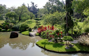Fototapeta premium jardin japonais