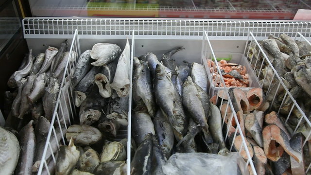 frozen fish