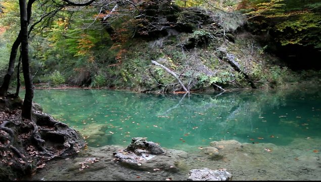 Nacedero del Urederra.Navarra.