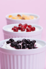 Fresh Assorted Yogurts With Blueberries, Cranberries And Muesli