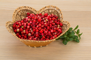 Cowberry