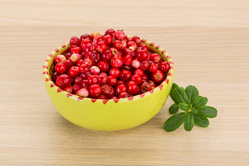 Cowberry
