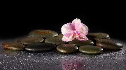Obraz na płótnie Canvas Spa stones and orchid flower with reflection