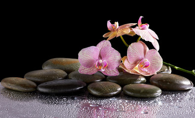 Obraz na płótnie Canvas Spa stones and orchid flowers with reflection