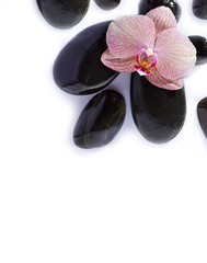 Spa stones on white background with orchid