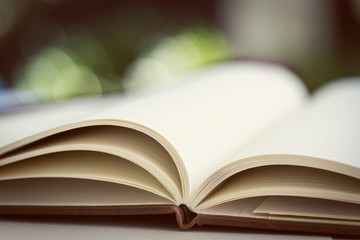 Close up on open book pages.Toned.