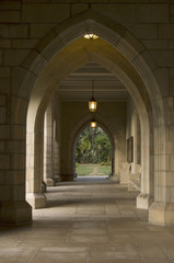 Church Arch with Palm Trees