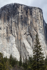 Fototapeta na wymiar El Capitan - Yosemite Valley I