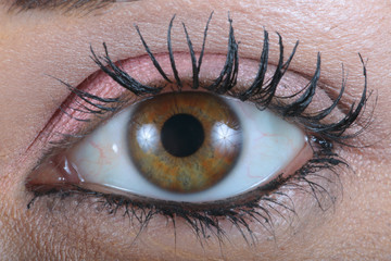 vision.....