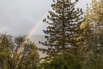 A rainbow at Yosemite II