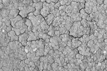 Close up of Dirty Cracked clay ground